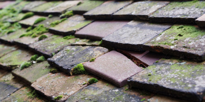 Chepping roof repair costs